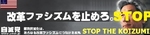 Anti_Koizumi.jpg